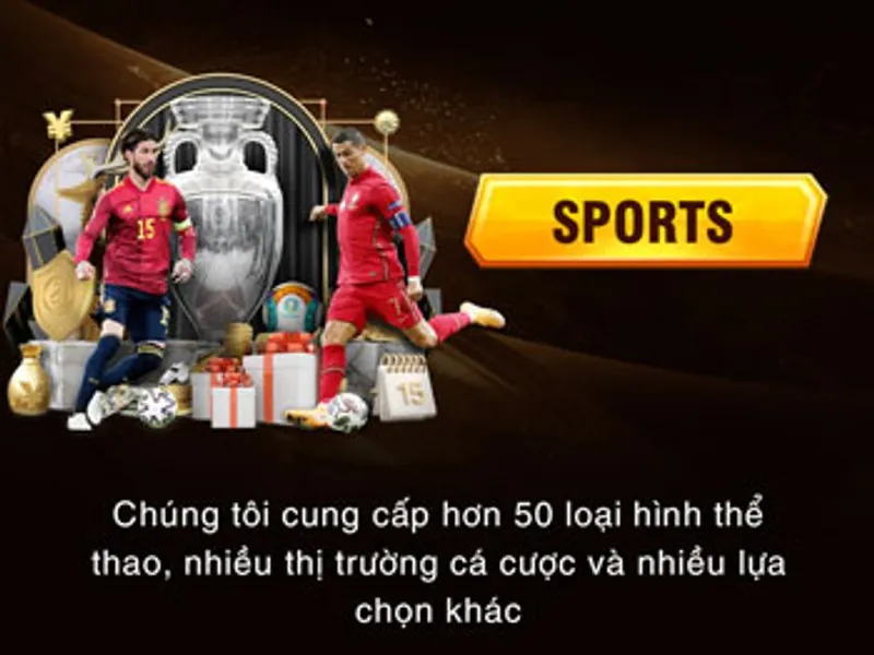 Cá cược thể thao sodo66