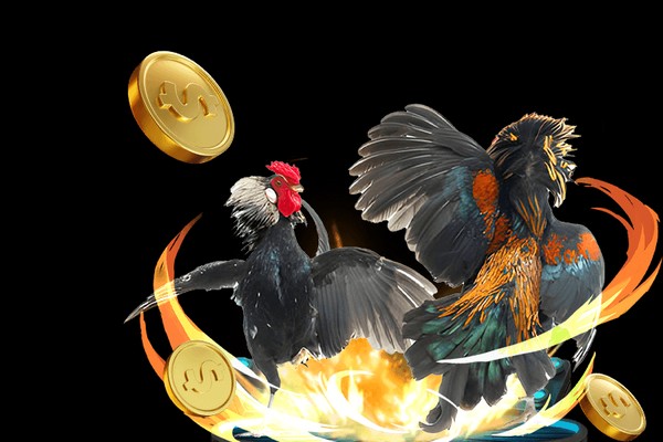 Ảnh đại diện người dùng Phan Thị D